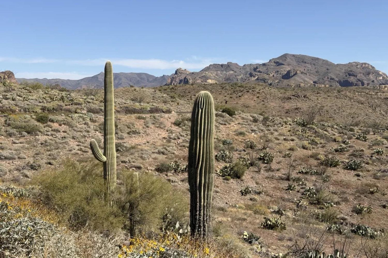 Apache Trail Full-Day Scenic Tour from Phoenix