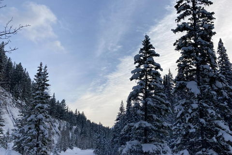 从克拉科夫出发：佐霍乌山谷扎科帕内雪橇之旅乔霍乌山谷雪橇之旅（含团体接送服务）