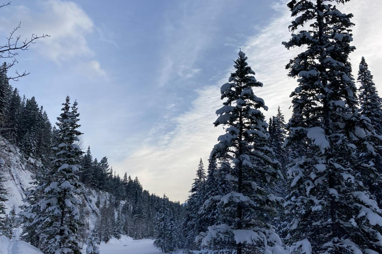 从克拉科夫出发：佐霍乌山谷扎科帕内雪橇之旅乔霍乌山谷雪橇之旅（含团体接送服务）