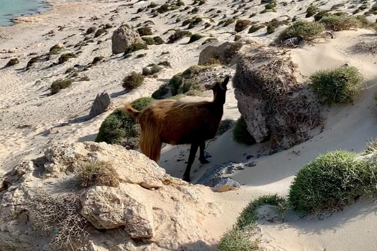 Balos Beach Off-Road Bus – Daily Departure from Kissamos 8:00 - 13:00 BALOS BUS