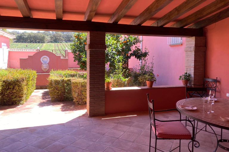 Ronda, Málaga: Winery Tour with Wine Tasting and Tapas