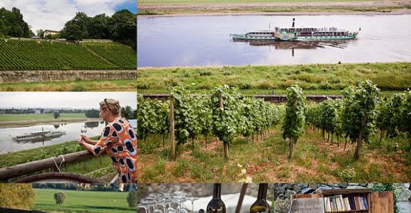 Fahrradtour durch Dresden mit Weinprobe