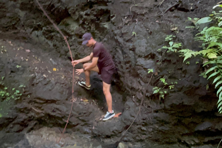 Puerto Jiménez: La Leona Overnight with a Stop at Corcovado