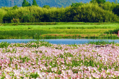 Hangzhou: Liangzhu Archaeological Site UNESCO Heritage Tour