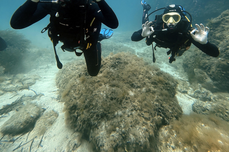 Malte : Baptême de plongée sous-marine en Français