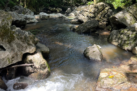 Caguas : Aventure dans les cascades et les grottes