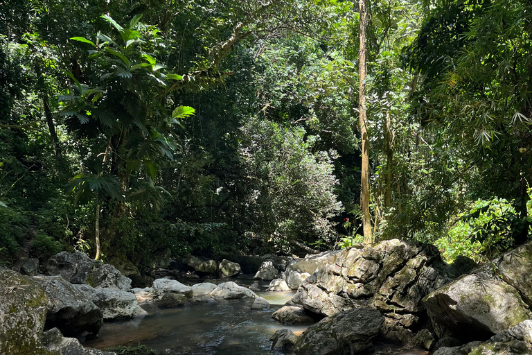 Caguas : Aventure dans les cascades et les grottes