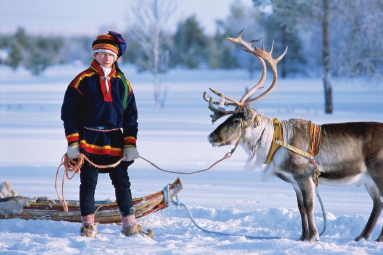 Rovaniemi: rendierboerderijtour met sleerit en pick-upRovaniemi: herfsttour door rendierboerderijen