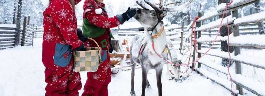 Rovaniemi : visite de la ferme des rennes du Père Noël et promenade en traîneau