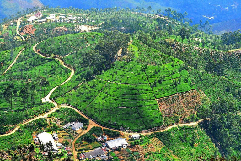 Lipton&#039;s Seat, Adisham Bungalow, excursão à fábrica de chá DambetennaDe Ella: Duas noites e três dias - Tour totalmente particular