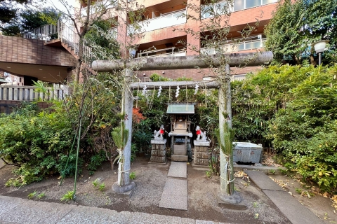 Experiencia Natto y visitas a santuarios para conocer a la genteReto de Comer Natto en 1 Hora y Visitar los Santuarios Locales