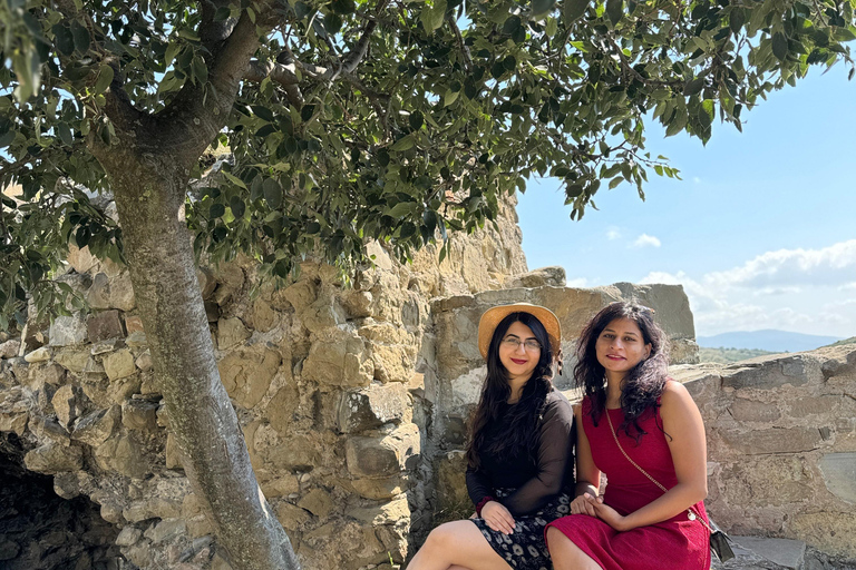 Gori: Uplistsikhe, Gori, and Mtskheta Day Tour
