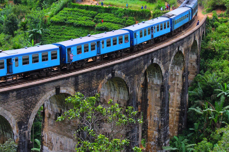 Ontdek de MAGIE van Sri Lanka in 7 dagen -4-sterrenhotels Incl.Ontdek de MAGIE van Sri Lanka in 7 dagen - 4-sterrenhotelverblijven