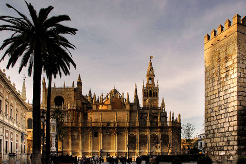 Seville Full-Day Sightseeing Tour from Granada