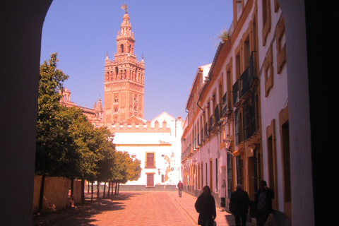 Seville Full-Day Sightseeing Tour from Granada