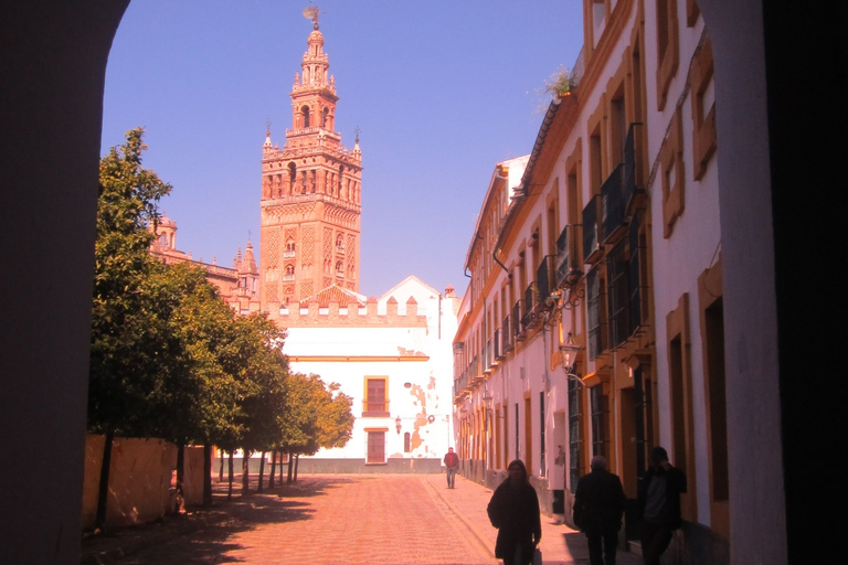 Seville Full-Day Sightseeing Tour from Granada