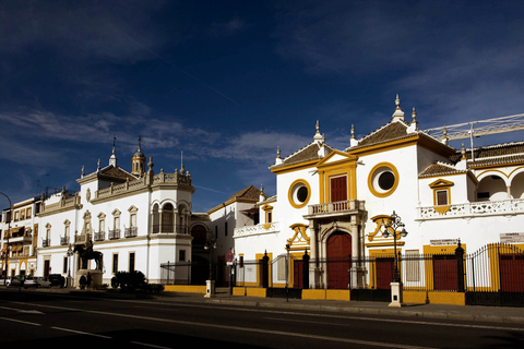 Seville Full-Day Sightseeing Tour from Granada