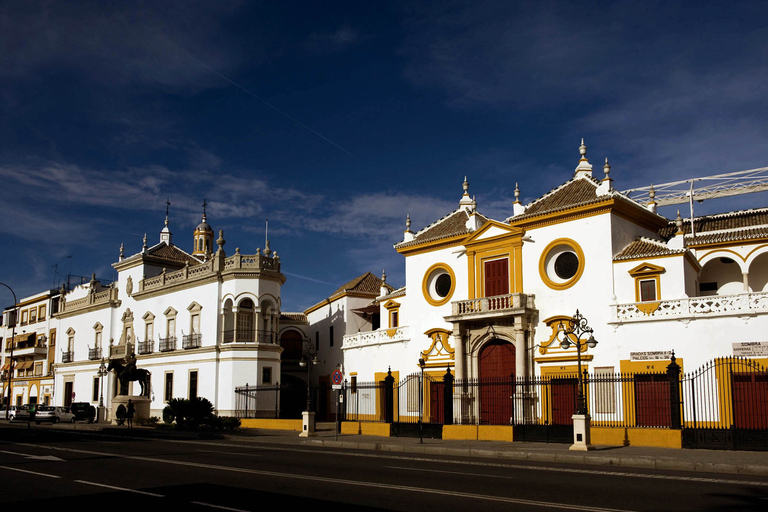 Seville Full-Day Sightseeing Tour from Granada