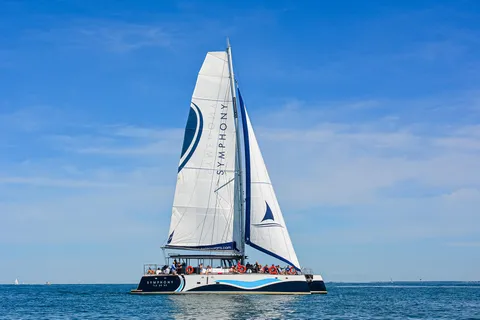 Saint-Martin-de-Ré: Island coasts in the wind's sway (2h)