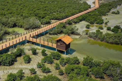 Tour im Norden von Katar zu Olafur Eliasson, Zubara Fort, Jumail