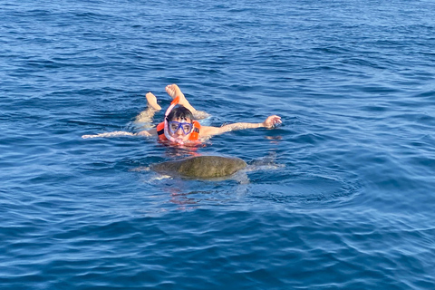 Puerto Escondido: Bootstour zu Delfinen und MeerestierenPrivate Tour