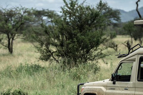 Safari di 2 giorni al Tarangire e al Lake Manyara National...