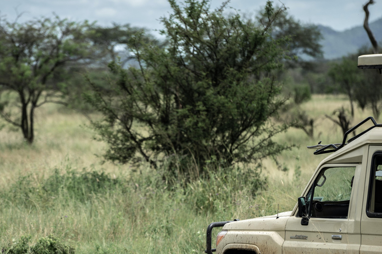 Safari de 2 jours dans les parcs nationaux du Tarangire et du lac Manyara...