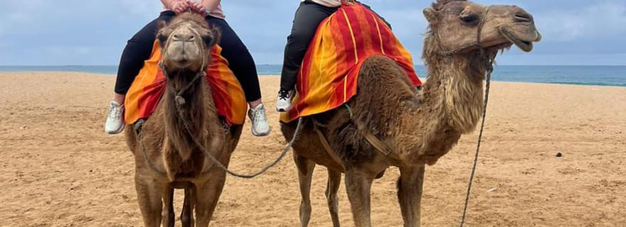 De Tarifa : 2 jours 1 nuit A Chefchaouen tout compris