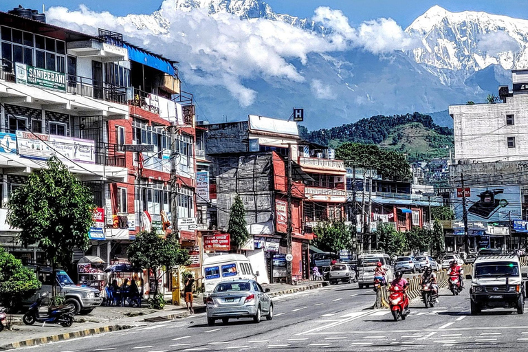 Pokhara : Trek de 3 jours à Astam, Dhampus et Australian CampPokhara : 3 jours de service