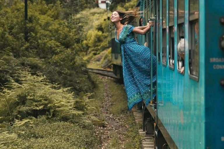 Kandy: Nuwara Eliya, Ambewela Drop Tour & Ella Train journey Kandy: Nuwara Eliya, Ambewela Drop Tour by car or van