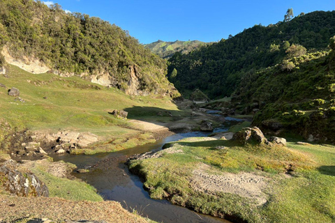 من أديس أبابا: رحلة نهارية من أديس أبابا إلى بحيرة ونشي كريتر مع وجبة غداء