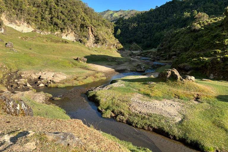 من أديس أبابا: رحلة نهارية من أديس أبابا إلى بحيرة ونشي كريتر مع وجبة غداء