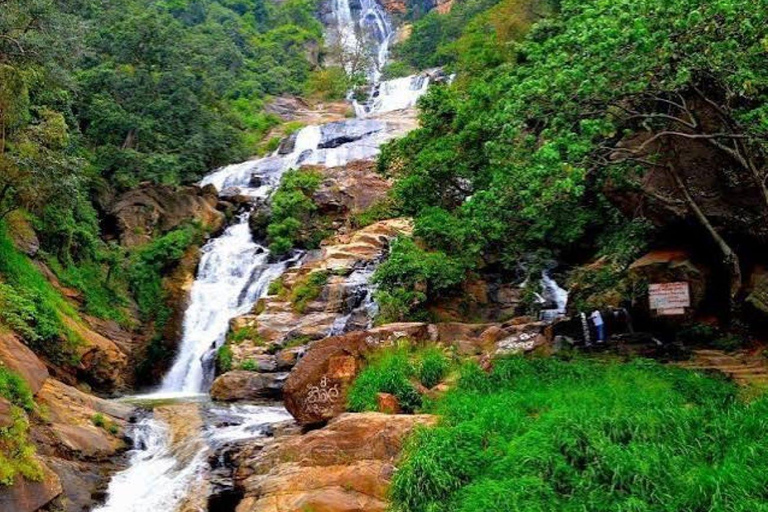 From Riu Hotel: Ella Tea Factory Tour with Scenic Train Ride