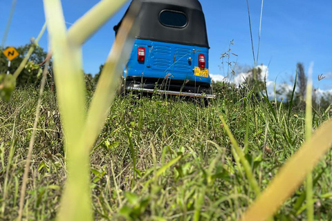 Ella: Tuk-Tuk-tur med Little Adam's Peak och vattenfall