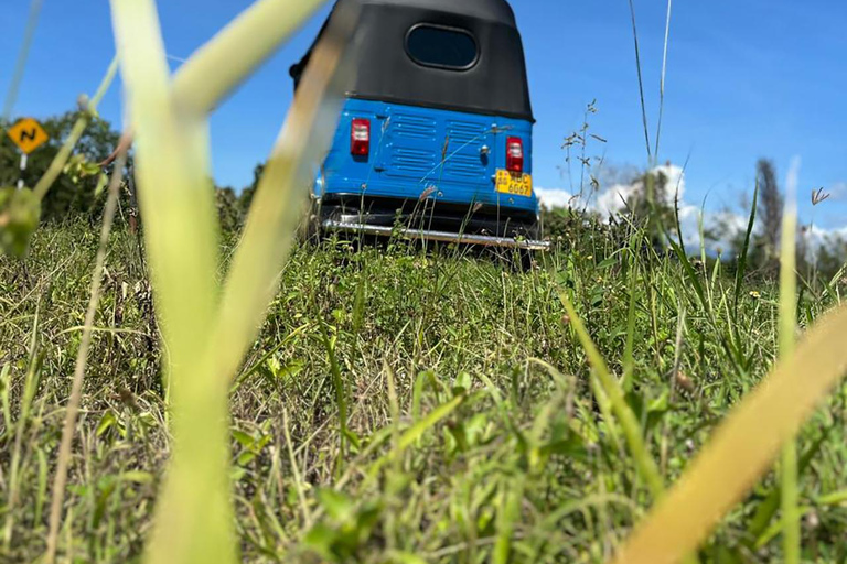 Ella: Tuk-Tuk-tur med Little Adam's Peak och vattenfall