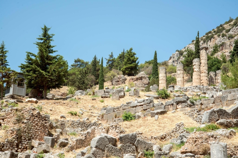 Vanuit Athene: dagtocht Delphi