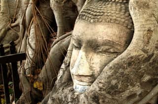Private, kulturelle Tour zu den historischen Tempeln von Ayutthaya