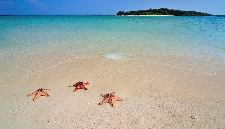 Ab Manila: Abenteuer in einer schwimmenden Hütte in Calatagan