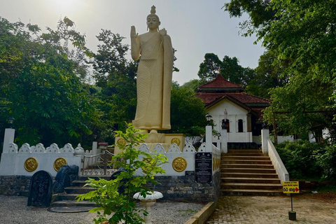 From Colombo: Gampaha District Temples & Jungle Hike Tour
