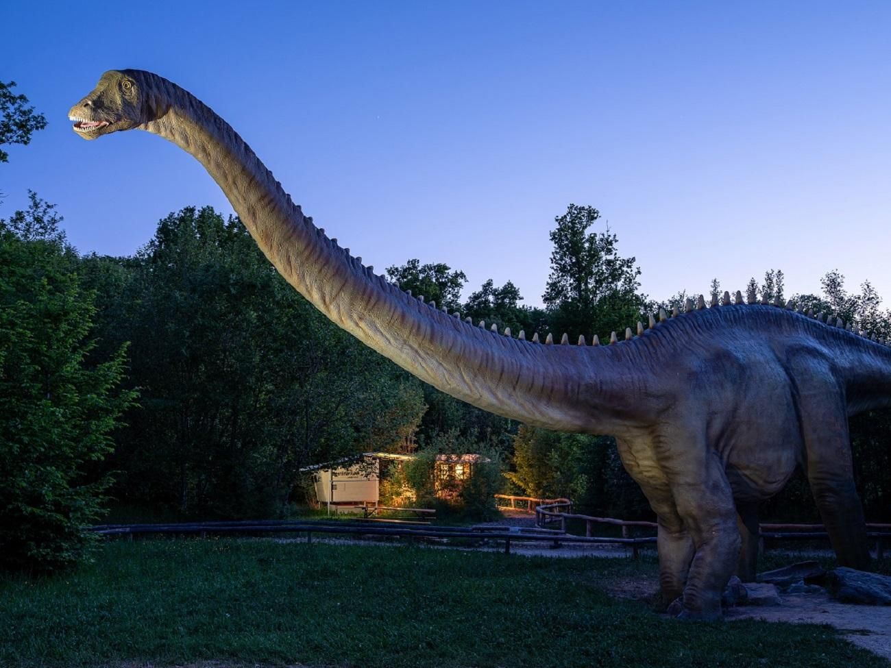 Ernzen: Erlebnisübernachtung - Eine Nacht unter Dinosauriern