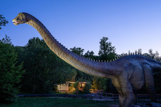 Ernzen: Adventure Overnight Stay - A Night Among Dinosaurs