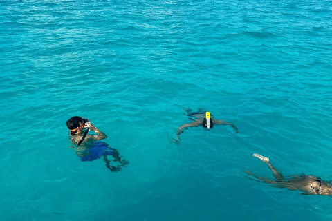 Snorkel Adventure for All Ages in Cancun 2.5 hrs