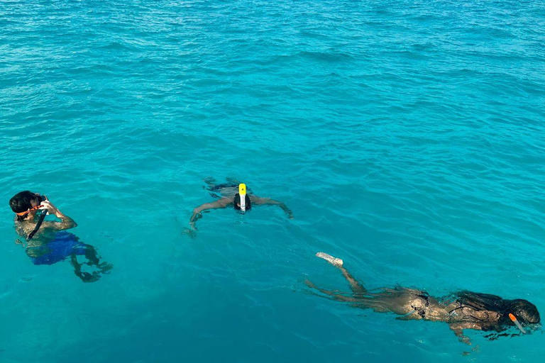 Snorkel Adventure for All Ages in Cancun 2.5 hrs