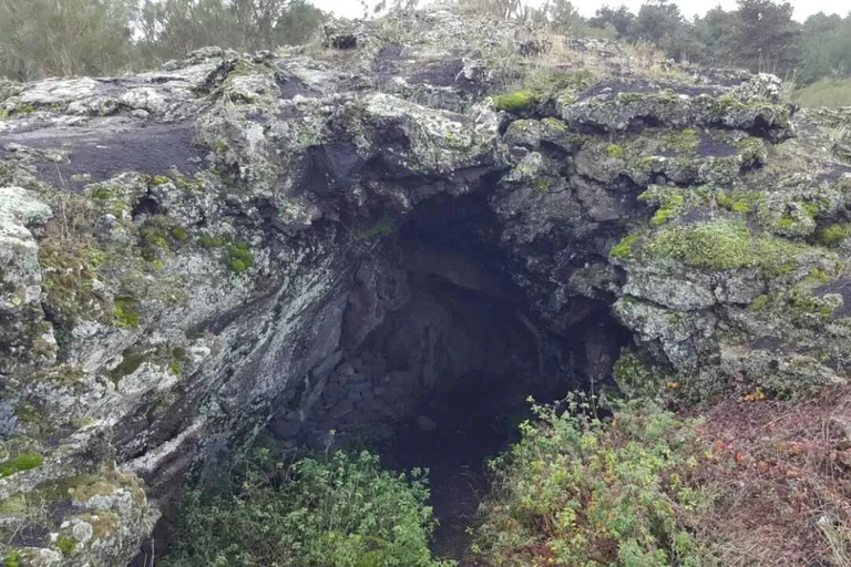 Excursão multilíngue ao Monte Etna e Taormina saindo de Palermo