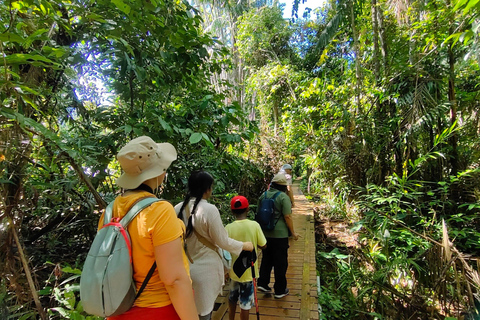 Kuching: Bako Wildlife Day Tour