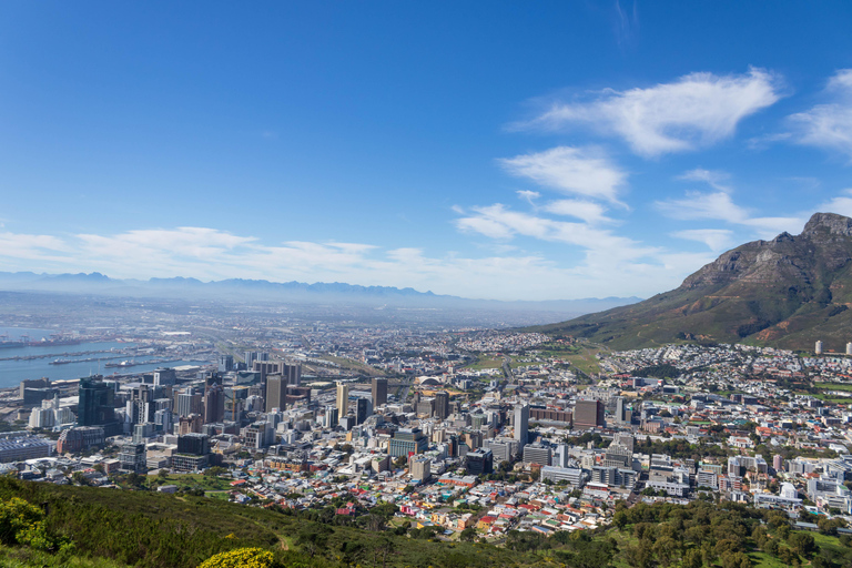 Kapstadt: Private Ganztagestour durch die Stadt und die Winelands