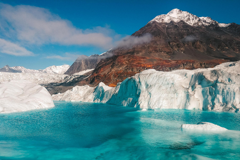 Palmer: "Dogs and Glaciers" Rodelen en Helikoptertour