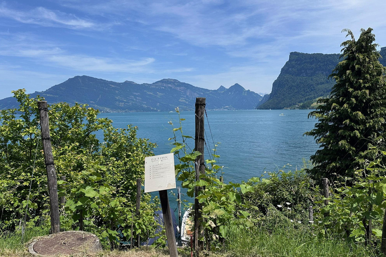 Lake Lucerne: Private Luxury Boat Cruise