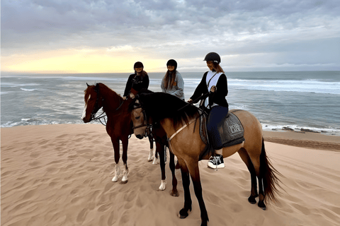 Doha: Desert Horse Riding with Beach Games & Sunset