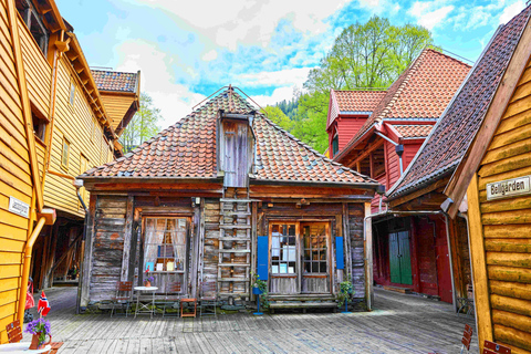 Bergen: Sightseeingtour wandeltour met veerboottocht